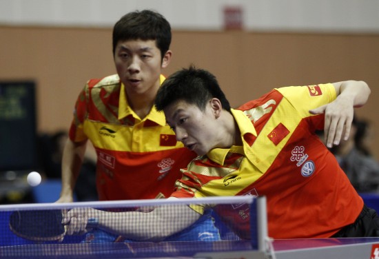 体育领域 体育领域